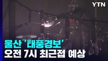 울산 '태풍경보'...오전 7시 최근접 예상 / YTN