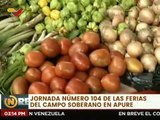 Feria del Campo Soberano beneficia a 1.400 familias de la comunidad La Hidalguía en Apure