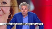 Gilles-William Goldnadel : Éric Piolle «ne méritait certainement pas autant de critiques acerbes», concernant les repas végétariens dans les cantines scolaires de Grenoble