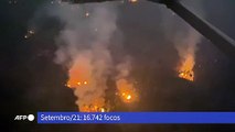 Dia da Amazônia: incêndios disparam no início de setembro