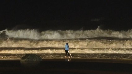 High winds hit South Korea as Typhoon Hinnamnor approaches