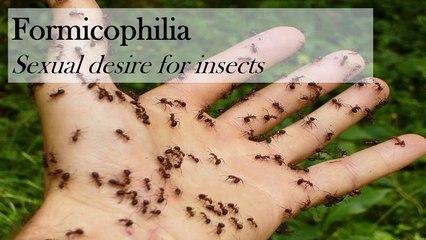 SOME FETISHES YOU PROBABLY NEVER KNEW EXISTED