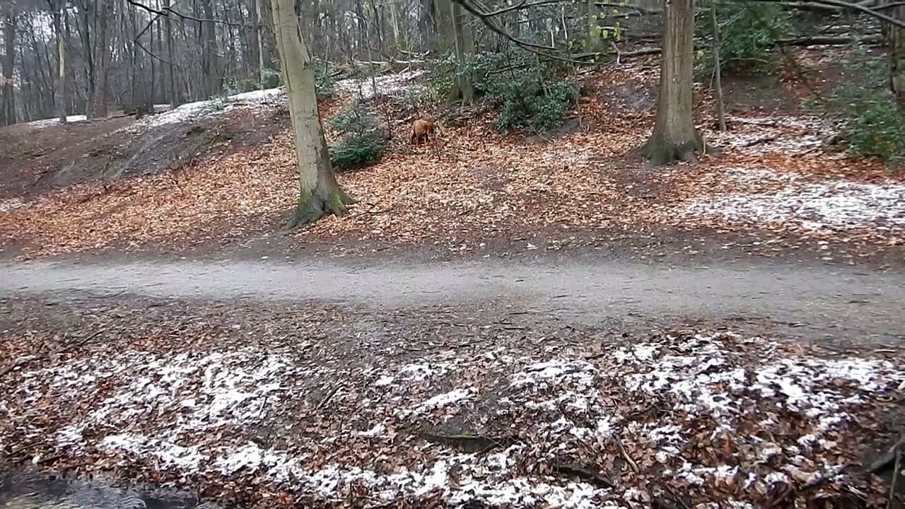 31 March 2022 Snow Blizzard Velp