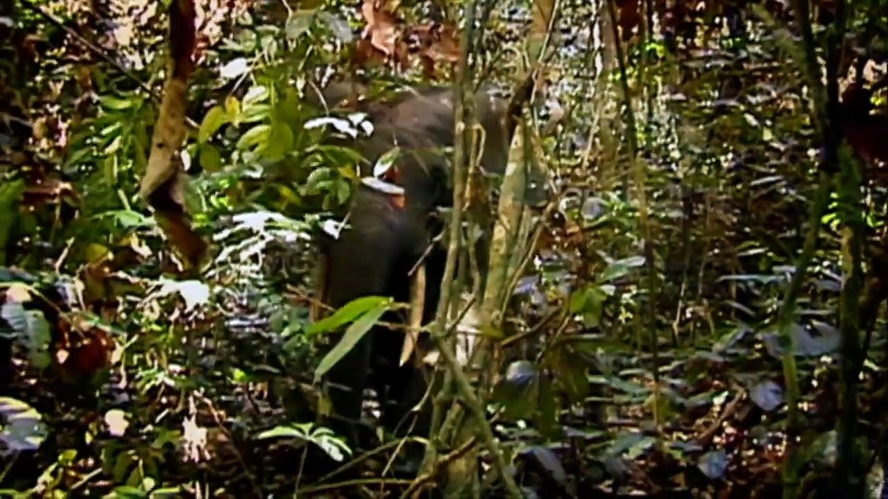 Die Erdeoben Staffel 3 Folge 5 HD Deutsch