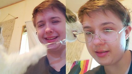 Cute cat successfully takes off owner's glasses