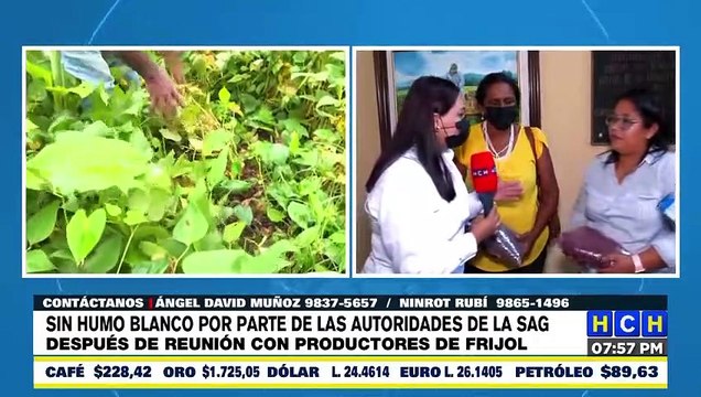 Autoridades de la SAG no llegan a acuerdos con productores de frijol