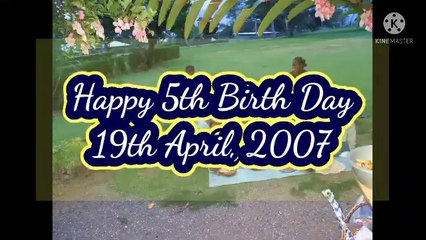 Birthday Celebrations | the anniversary of a birth. the day of a person's birth