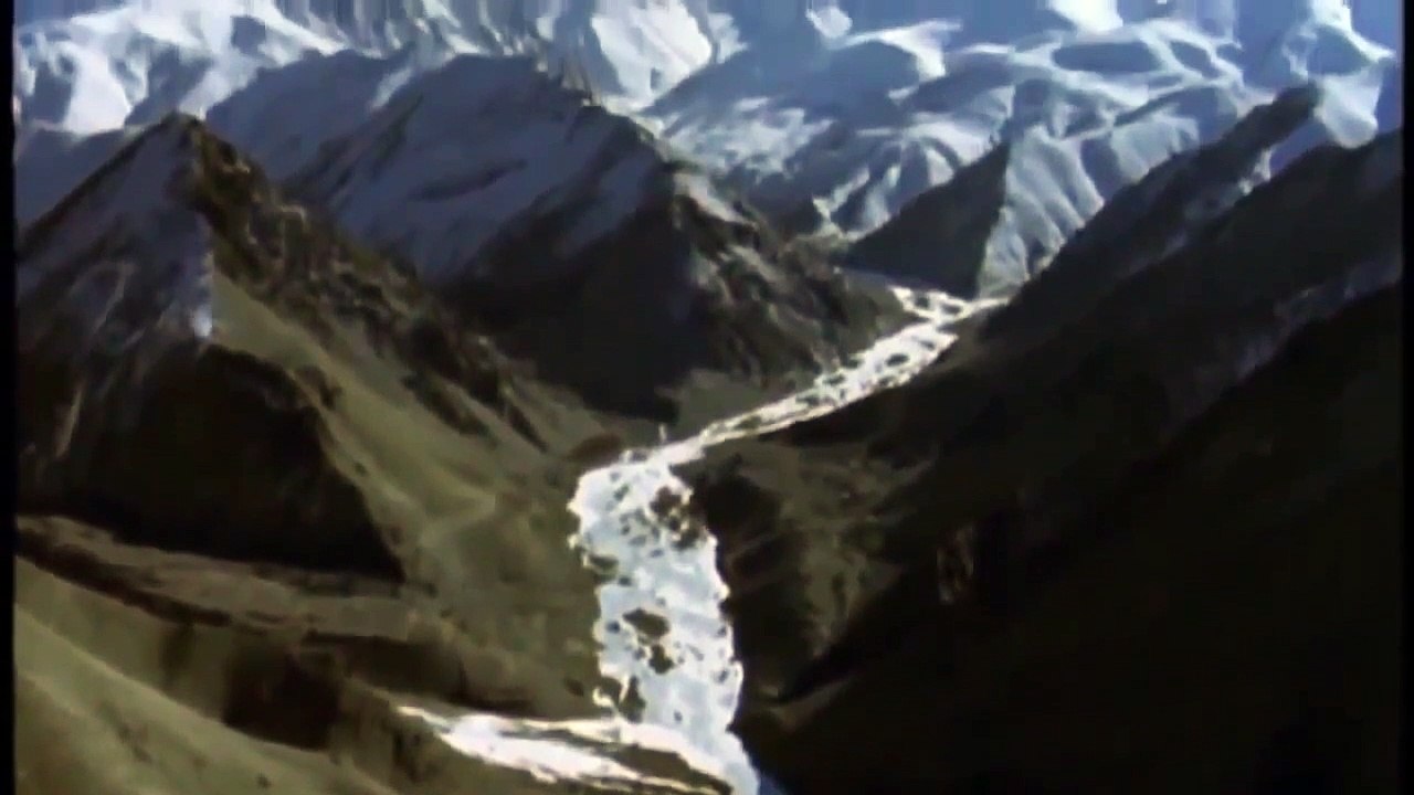The Snow Leopard - Animals