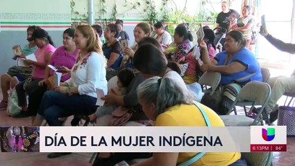 Hoy se conmemoró el día internacional de la mujer indígena.