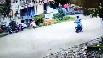 இந்த ஆளு காலையில யாரு முகத்துல முழிச்சிட்டு வந்தான்னு தெரியல!! பாவம் மனுஷன்!