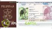 Amazing Earth: Two Philippine eagles are passport holders?!