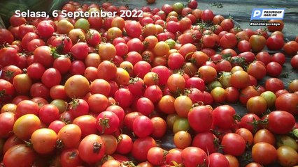 BBM Naik, Pengangkut Sayur Mumet