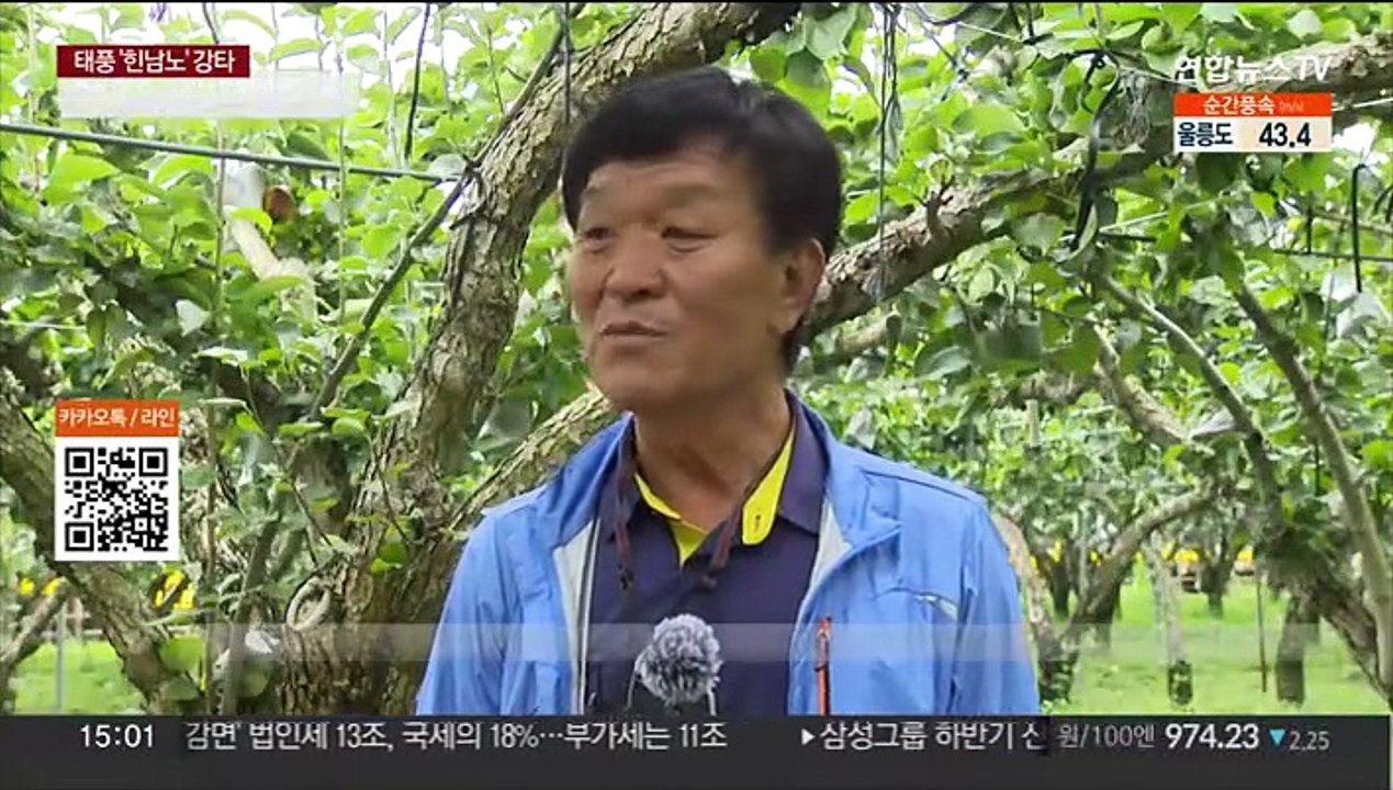 태풍에 1년 농사가 우수수…전남 농작물 피해 속출