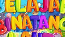 Nama Hewan Laut _ Edukasi Anak Balita