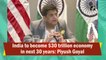 India to become $30 trillion economy in next 30 years: Piyush Goyal