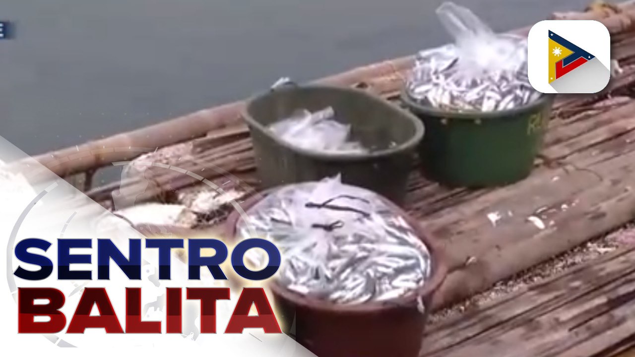 Isang grupo, nagbabala na posibleng magkulang ang supply ng isda na ginagamit sa sardinas