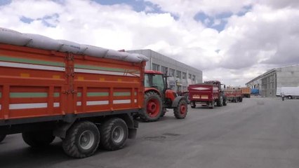 Çorumlu Ayçiçeği Üreticisi: Elektriğe, Gaza Zam Var, Çekirdeğe Yok