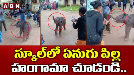 స్కూల్ లో ఏనుగు పిల్ల హంగామా చుడండి Elephant calf hulchul In school, reunited with mother later |ABN