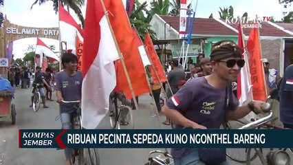 Pecinta Sepeda Kuno Ngonthel Bareng Keliling Lumajang
