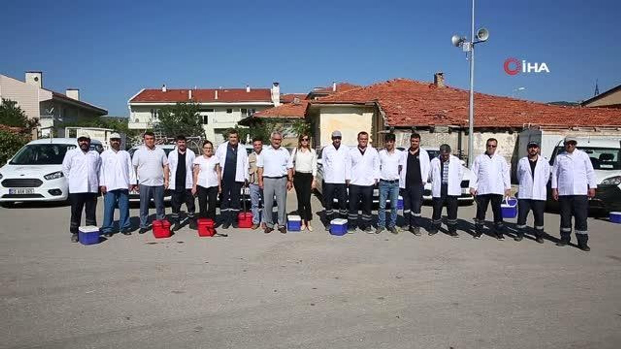 Son dakika haber... Denizli'de ölümcül hastalıkla mücadele sürüyor: 2 bin 500 büyükbaş hayvanın ilk doz aşıları tamamlandı