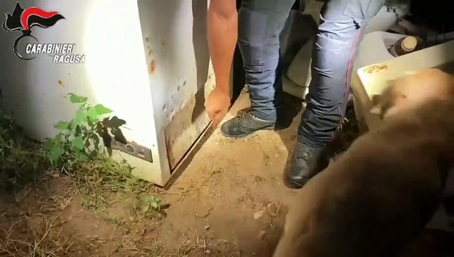 Scicli, i cani fiutano 2 chili di droga: arrestato 53enne di Palagonia, denunciato il fratello