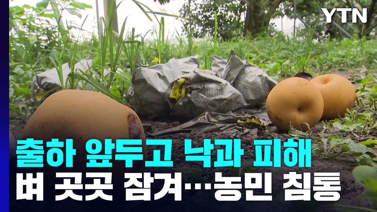 태풍 스쳐간 전남, 떨어지고 쓰러지고...피해 속출 / YTN