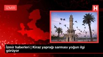 İzmir haberleri | Kiraz yaprağı sarması yoğun ilgi görüyor