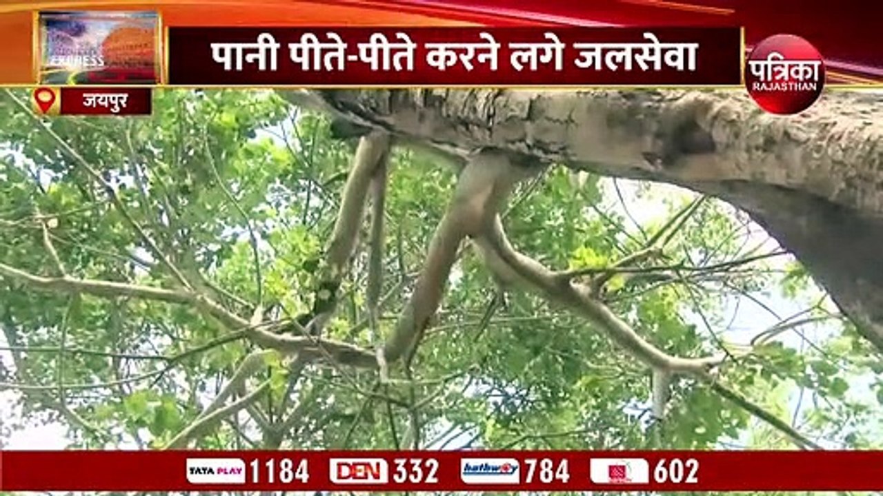 अमृत से कम नहीं राजस्थान के इस कुएं का पानी......