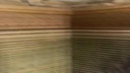 İbb'den Alınarak Hazine'ye Devredilen Fehime ve Hatice Sultan Yalılarının Son Hali Ortaya Çıktı.