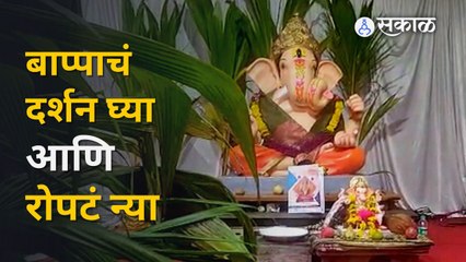 Ganeshotsav 2022 | पुण्यातील गणेश मंडळाचा पर्यावरण पूरक उपक्रम | Sakal Media
