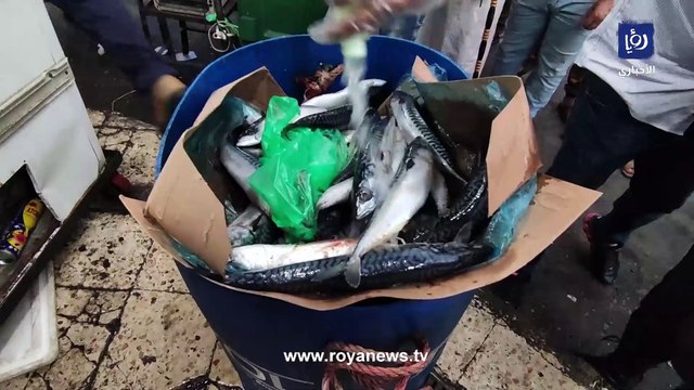 إتلاف كميات كبيرة من الأسماك في وسط البلد