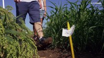 Un siglo produciendo alimentos para personas con necesidades nutricionales específicas