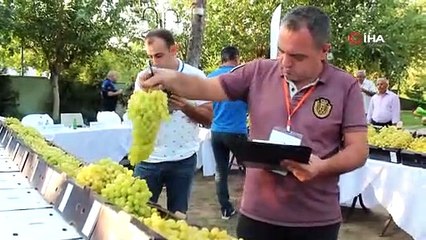 Tải video: Alaşehir Üzüm Festivalinde Konser Veren Volkan Konak İzleyicileri Coşturdu!