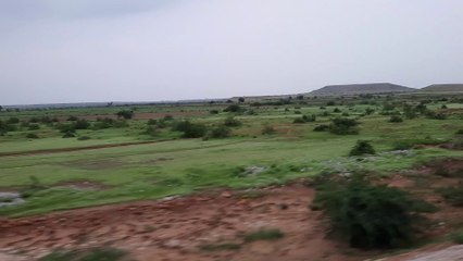Train Journey and green fields and agriculture of Pakistan