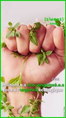 SIMONE - GREEN : Eco-anxiété et burn-out du colibri