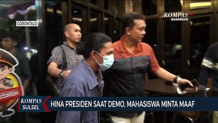 Hina Presiden Saat Demo, Mahasiswa Minta Maaf