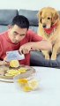 Limonu yedikten sonra kendisine limon veren sahibine tepki gösteren köpeğin videosu sosyal medyada gündem oldu.