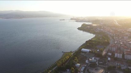 Son dakika haberi! Denizde zemin üstüne çıkan "deniz patatesleri" yaşam savaşı veriyor