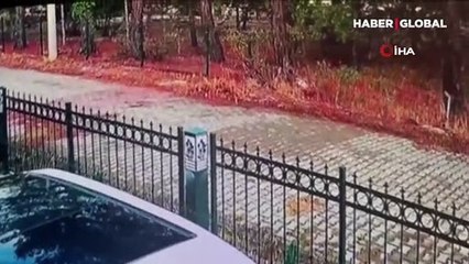 Örümcek adam gibi hırsız kamerada