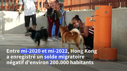Hong Kong: les animaux, victimes de l'exode des habitants