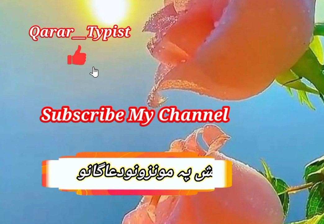Paa tarao kho na da | پہ تراو خونا دا | qarar__typist