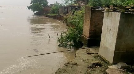 গঙ্গাভাঙনে তলিয়ে গেল মুর্শিদাবাদের একাংশ,গৃহহীন আমজনতা | Oneindia Bengali
