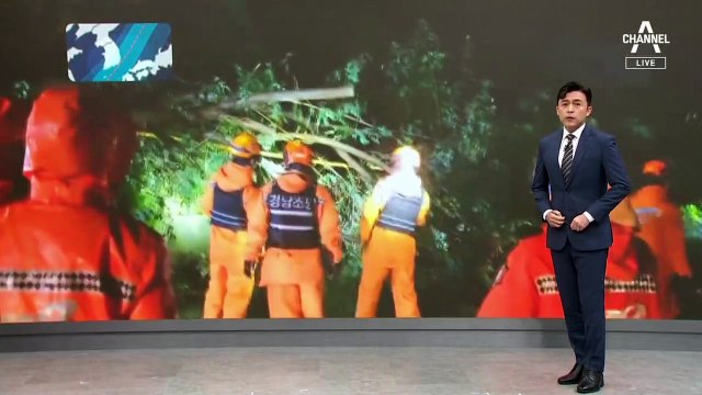태풍 첫 상륙 통영, 최악 피했다…피해 막은 1km 차수벽