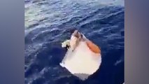 Un pêcheur brésilien dérive 11 jours dans un congélateur après le naufrage de son bateau