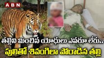 తల్లిని మించిన యోధులు ఎవరు లేరు || Mother Fights Off Tiger, Rescues 15-Month-Old Son || ABN Digital