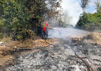 Son dakika haber: MERSİN'DE ORMAN YANGINI