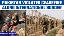 Pakistan violates ceasefire, resorts to unprovoked firing along IB in J&K | Oneindia News*News