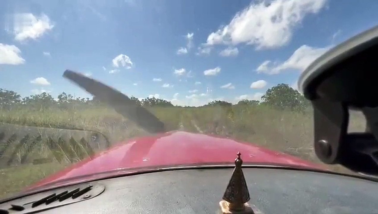 Un pilote d'avion rate son décollage en pleine la savane