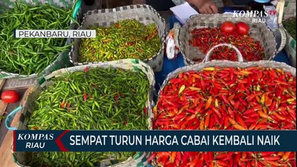 Sempat Turun Harga Cabai Kembali Naik