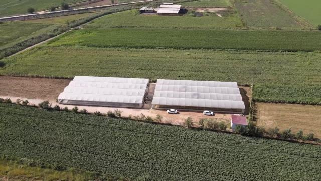 Aydın haber: Efeler Belediye Başkanı Atay'dan Ejder Meyvesi Hasadı